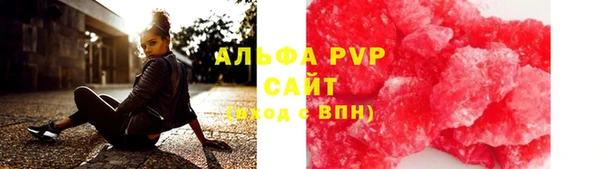 гашик Алексеевка