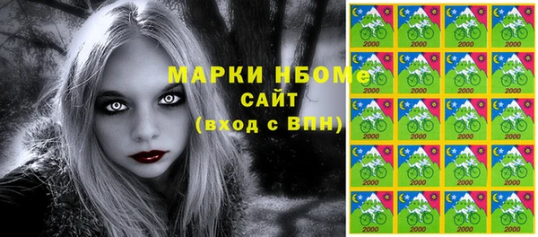 стаф Алзамай