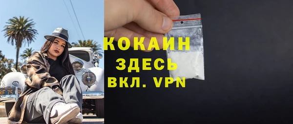 стаф Алзамай