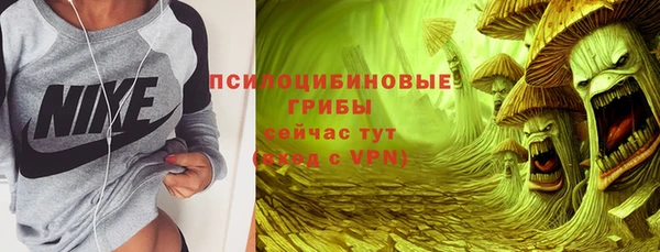 гашик Алексеевка