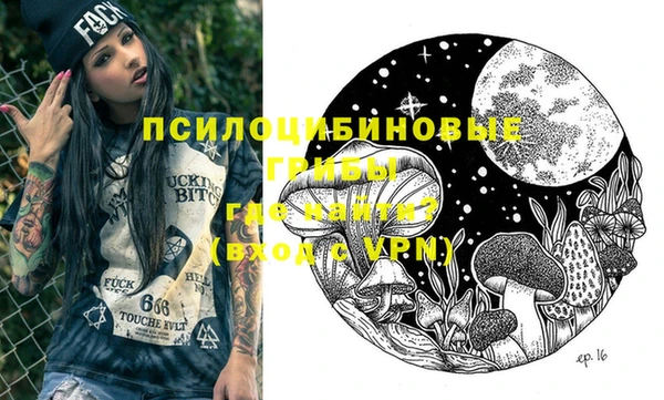 стаф Алзамай