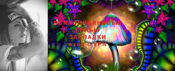 стаф Алзамай