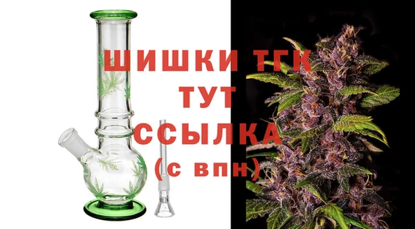 гашик Алексеевка