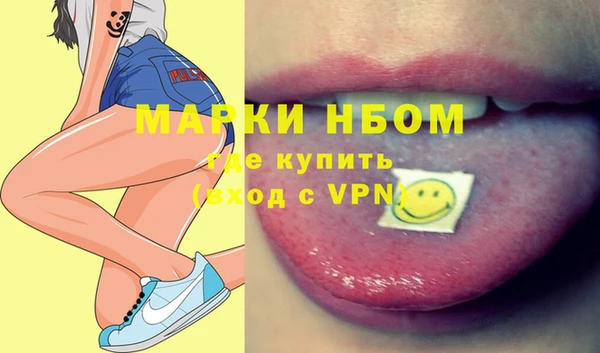 стаф Алзамай