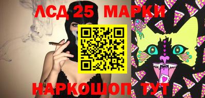 шишки Будённовск