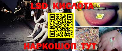 шишки Будённовск