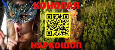 шишки Будённовск
