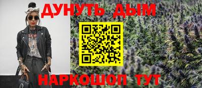 шишки Будённовск