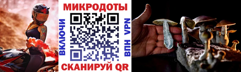 наркошоп  дарк нет какой сайт  Псилоцибиновые грибы прущие грибы  Омск 