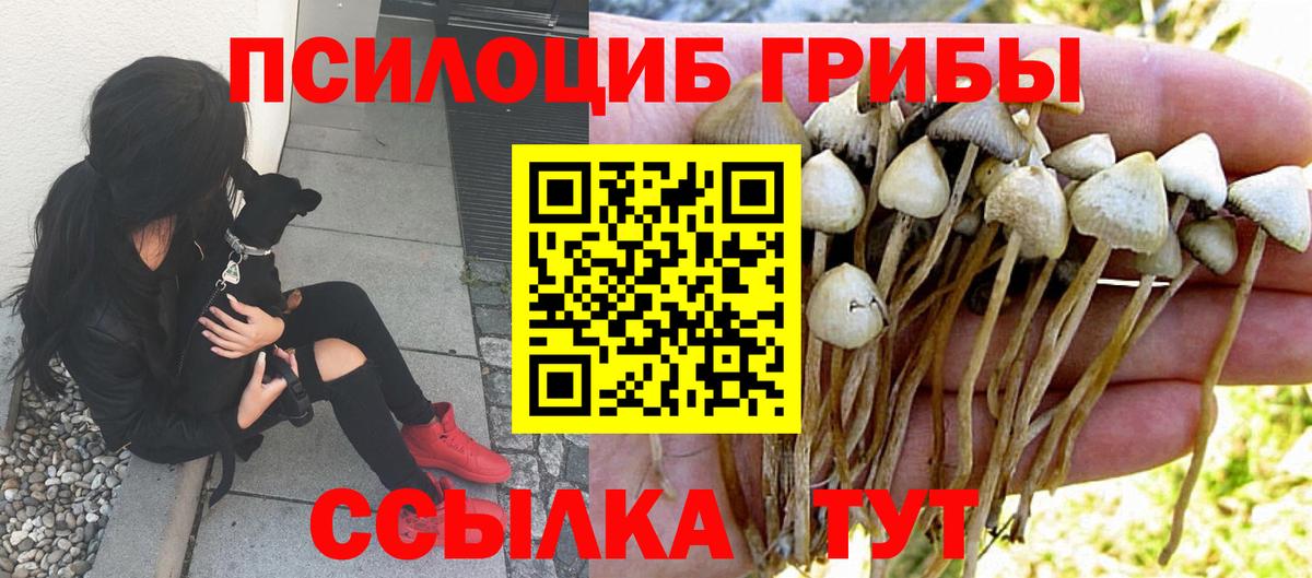 Псилоцибиновые грибы мухоморы  Вход с VPN  Омск 